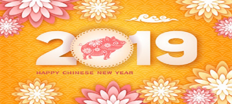 Happy Lunar New Year 2019